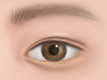 ������ �������� 1