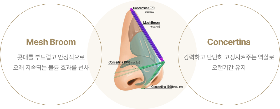 ȿ������ �ڽǸ�����