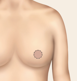 ������翡 ���� ������� �������B