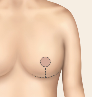 ������翡 ���� ������� �������C